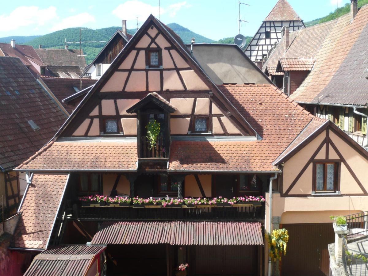Le Seigle, La Cour Des Meuniers Apartment Kaysersberg-Vignoble Bagian luar foto